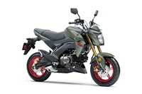 2023 Kawasaki Z125 PRO