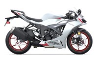 2024 Kawasaki NINJA® ZX™-6R