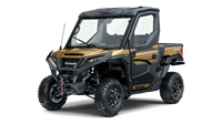 2024 Kawasaki RIDGE® LIMITED