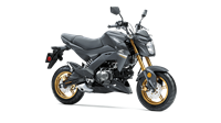 2024 Kawasaki Z125 PRO